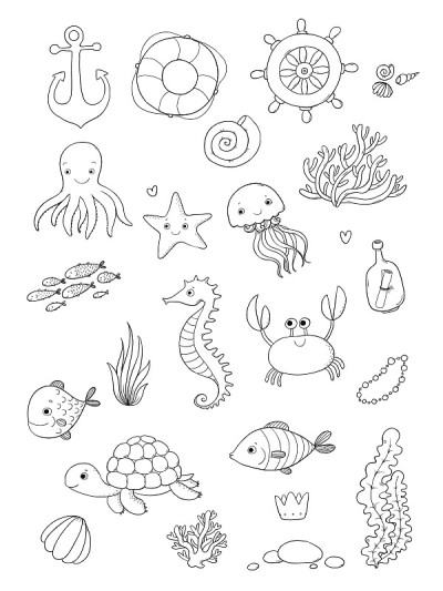 海洋的插图。可爱的小卡通搞笑鱼，海星，带纸条的瓶子，海藻，各种贝壳和螃蟹。海的主题。