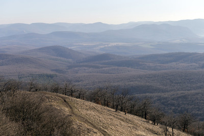 Borzsony山峰的背景是Esztergom大教堂