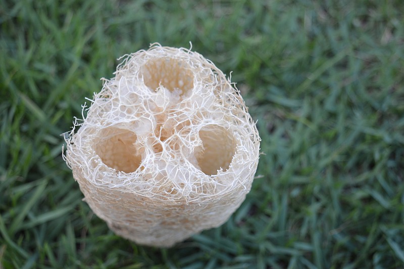 蔬菜套管清洗