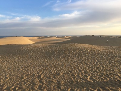 Maspalomas沙丘