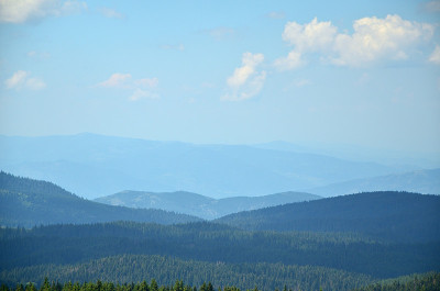 山景