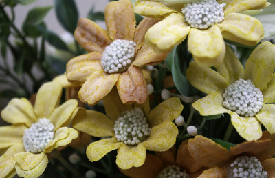 雏菊花心