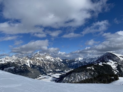 全景