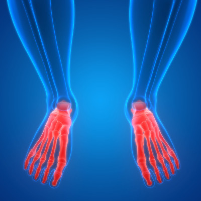 人体骨骼系统足骨关节解剖学