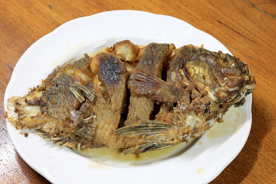罗非鱼，热肉菜肴