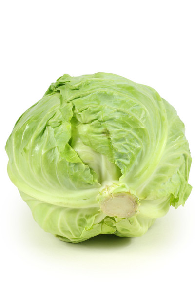 孤立在白色背景上的青菜