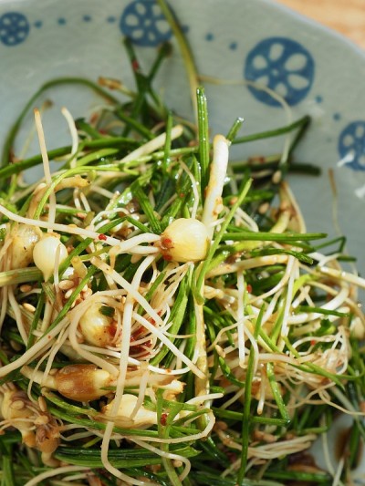 韩国菜配料野韭菜酱油调味料