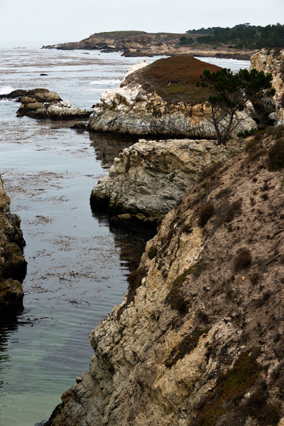 Point Lobos State Reserve