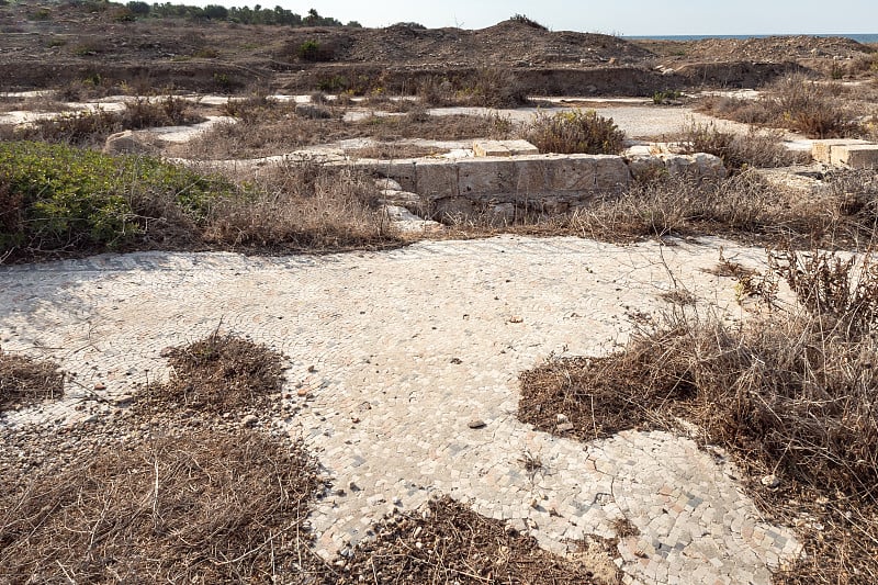 在以色列北部海法市附近的地中海海岸，一处6世纪东正教教堂的古代马赛克遗迹