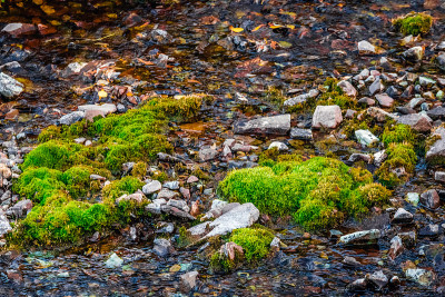 Maroon Bells Snowmass Wilderness USA