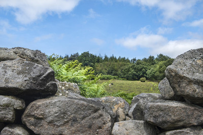 什罗浦郡农村场景