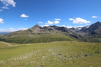 高山高山露，艺妓，K?奥地利的泰洛
