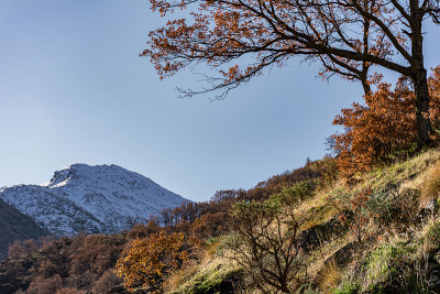 山