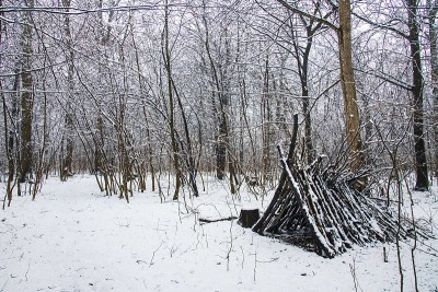冬天的风景与飘落的雪。32、雪林，雪花正在飘落。圣诞冬季新年背景壮丽景色。寒冷的温度