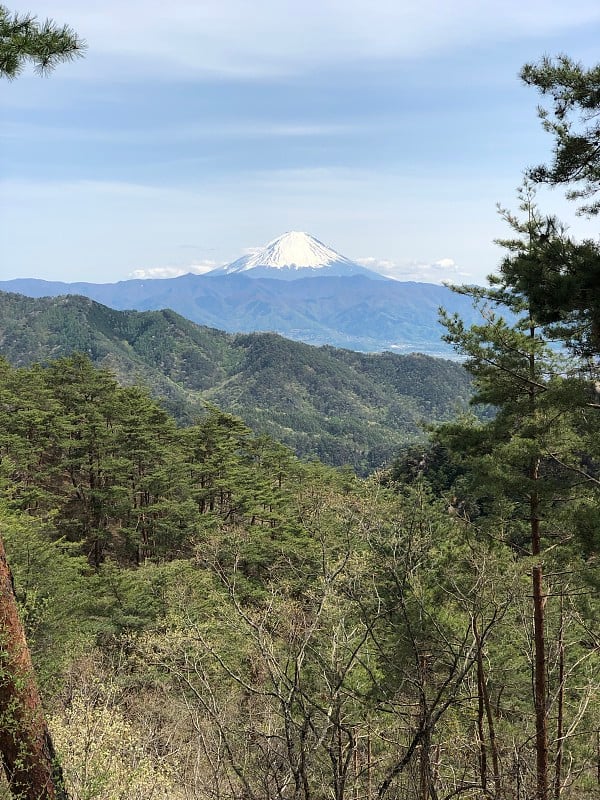 mt.Fuji