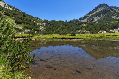 保加利亚皮林山Valyavitsa河和Valyavishki chukar峰的夏季景观