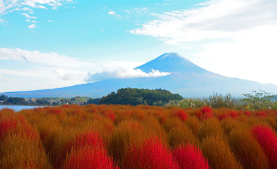 富士山,日本