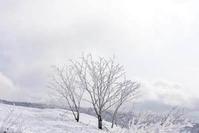 滑雪胜地，秋田县在日本