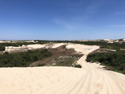 在海岸沙丘的道路