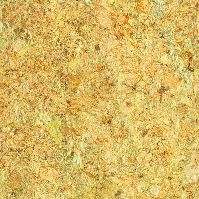 靠近金箔佛像的背面