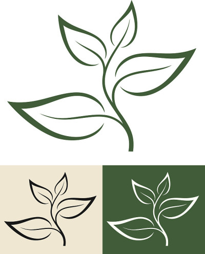 茶
