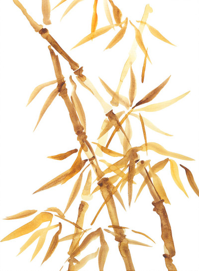 亚洲风格竹水彩画