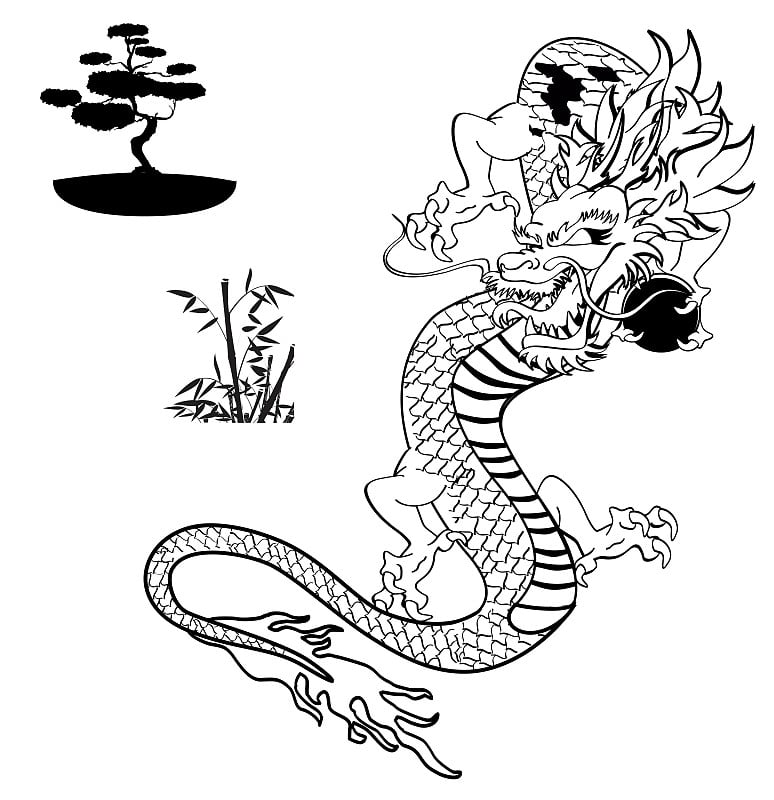 日本龙纹身t恤5