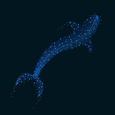 水下游动的鲨鱼与气泡和星系恒星