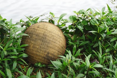 老挝琅勃拉邦河边，树叶间手工编织的竹篮