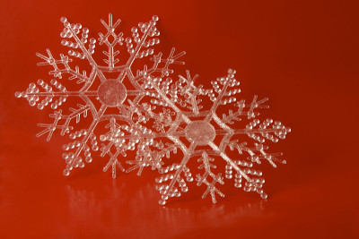 冬天的雪花