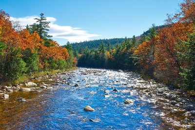 秋日Swift River