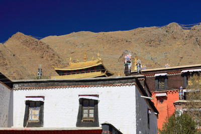 dhvajas -胜利的旗帜-莲花-makaras。Tashilhunpo monastery-Sh