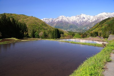 日本阿尔卑斯山和梯田稻田