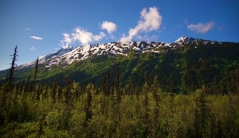 从苏厄德和德纳里之间的火车上拍摄的阿拉斯加内陆景色。山，绿树，蓝天，白云。