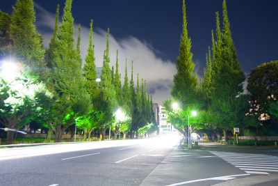 东京青山明治神宫外苑
