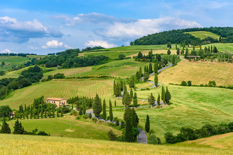 在Monticchiello - Valdorcia -附近锡耶纳，托斯卡纳，意大利，欧洲的柏树风景