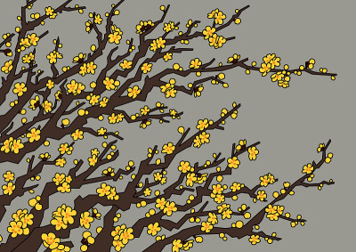 梅花(Chimonanthus praecox)插图