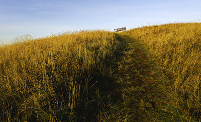 英国约克郡，Flamborough，悬崖上的秋天景色。