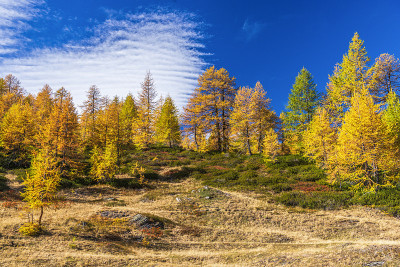 alpe devero 秋季 风景