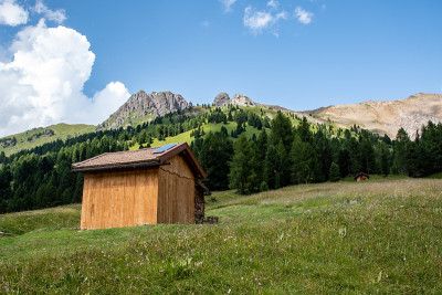 木屋，草地，森林和多洛米提山。