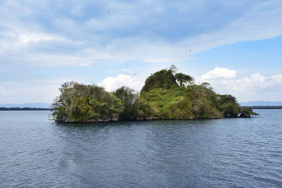 多米尼加共和国鸟岛，海地国家公园