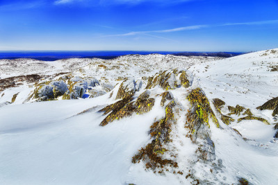 SM Back毁灭Mt Moss Rocks