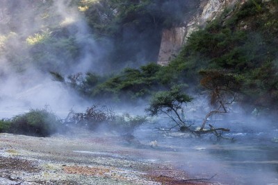 蒸汽从新西兰温暖的火山水中升起。