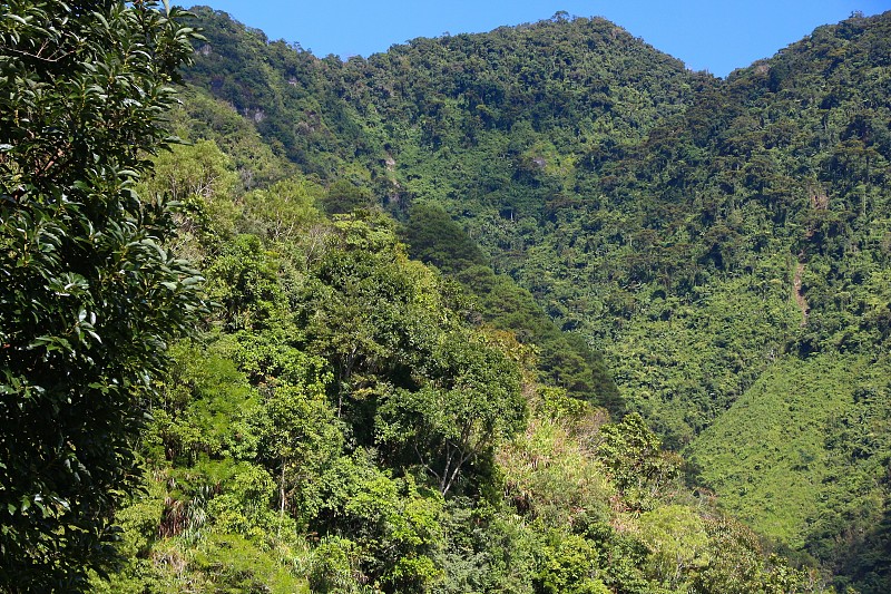 菲律宾山景观