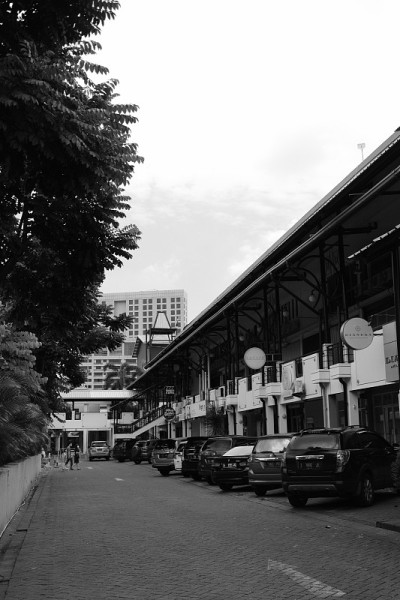 我在BW的邻居