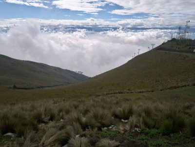 皮钦查火山的景色