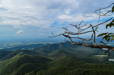 蓝天映衬下的青山风景。