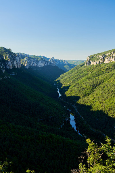 峡谷中有塔恩河，日出时有峡谷杜塔恩的光影