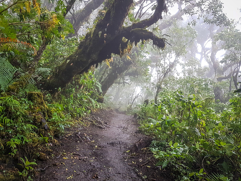 危地马拉阿卡特南戈火山徒步路线