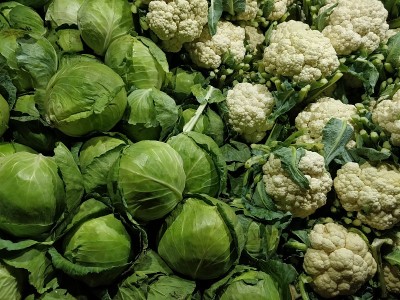 菜花和卷心菜从市场上买的